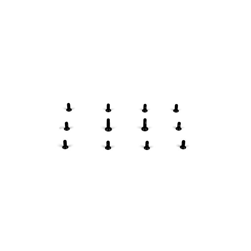 Laptop Screws (set)
